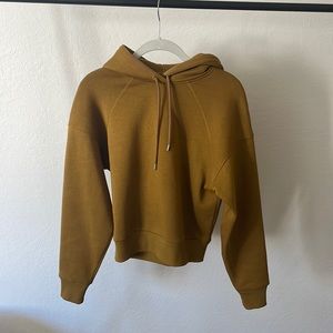 (BRAND NEW) EVERLANE Sweatshirt
